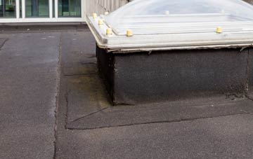 disadvantages of New Brotton flat roofs