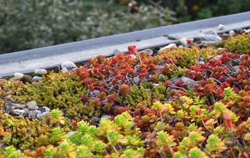 the cost of New Brotton green roof installation