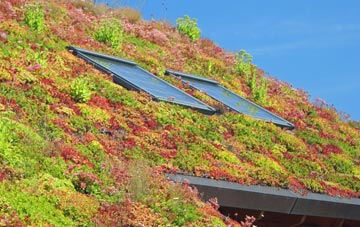 New Brotton living roof systems